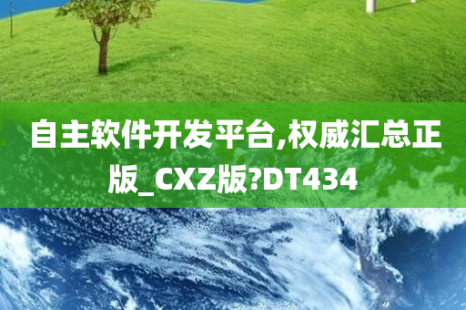 自主软件开发平台,权威汇总正版_CXZ版?DT434