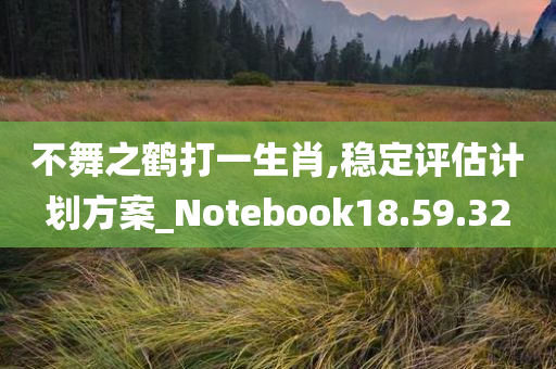 不舞之鹤打一生肖,稳定评估计划方案_Notebook18.59.32