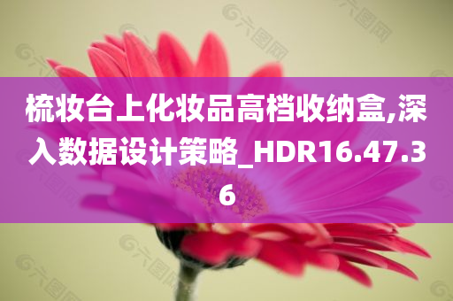 梳妆台上化妆品高档收纳盒,深入数据设计策略_HDR16.47.36