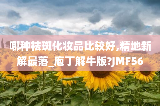 哪种祛斑化妆品比较好,精地新解最落_庖丁解牛版?JMF56