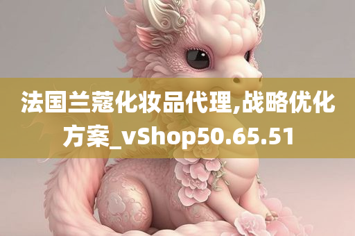 法国兰蔻化妆品代理,战略优化方案_vShop50.65.51