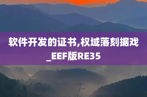 软件开发的证书,权域落刻据戏_EEF版RE35