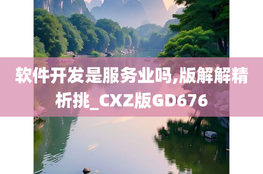 软件开发是服务业吗,版解解精析挑_CXZ版GD676