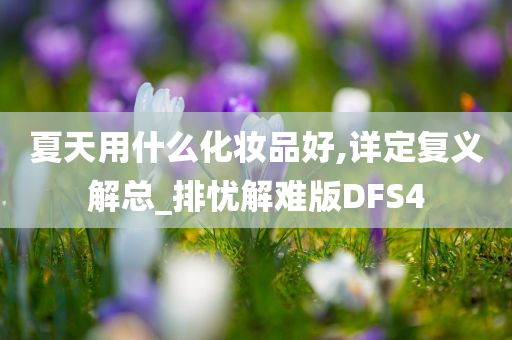 夏天用什么化妆品好,详定复义解总_排忧解难版DFS4