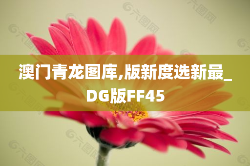 澳门青龙图库,版新度选新最_DG版FF45