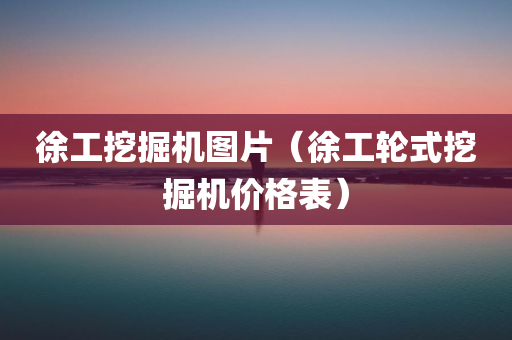 徐工挖掘机图片（徐工轮式挖掘机价格表）