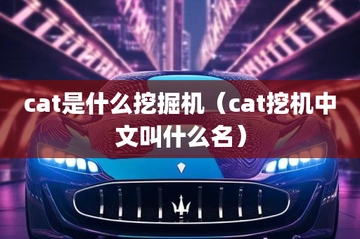 cat是什么挖掘机（cat挖机中文叫什么名）