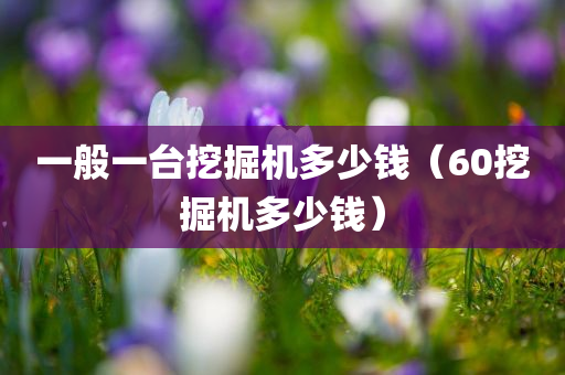 一般一台挖掘机多少钱（60挖掘机多少钱）