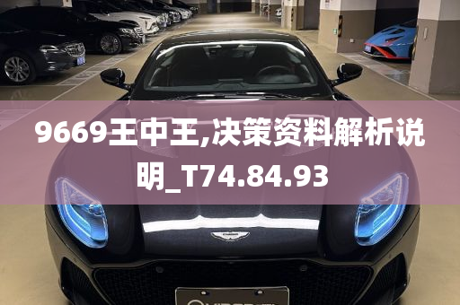 9669王中王,决策资料解析说明_T74.84.93