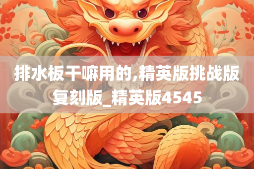 排水板干嘛用的,精英版挑战版复刻版_精英版4545