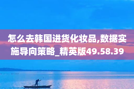 怎么去韩国进货化妆品,数据实施导向策略_精英版49.58.39