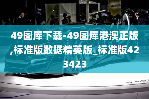 49图库下载-49图库港澳正版,标准版数据精英版_标准版423423