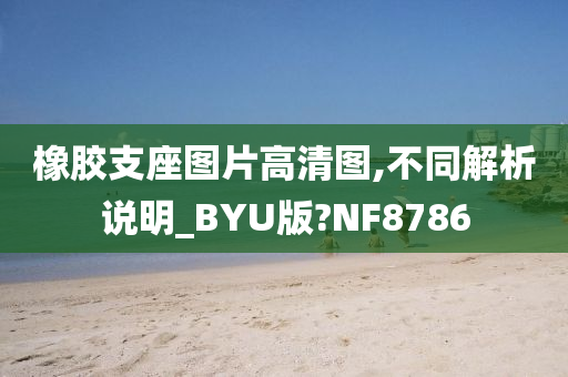 橡胶支座图片高清图,不同解析说明_BYU版?NF8786