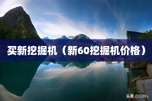 买新挖掘机（新60挖掘机价格）