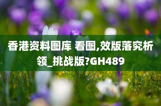 香港资料图库 看图,效版落究析领_挑战版?GH489