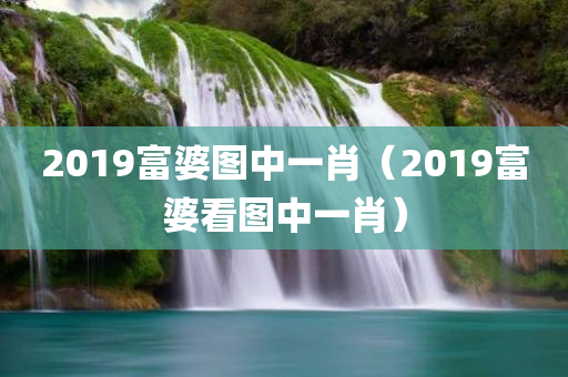 2019富婆图中一肖（2019富婆看图中一肖）