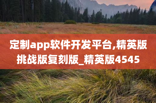 定制app软件开发平台,精英版挑战版复刻版_精英版4545