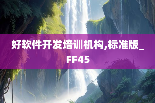 好软件开发培训机构,标准版_FF45