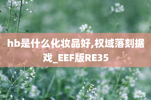 hb是什么化妆品好,权域落刻据戏_EEF版RE35