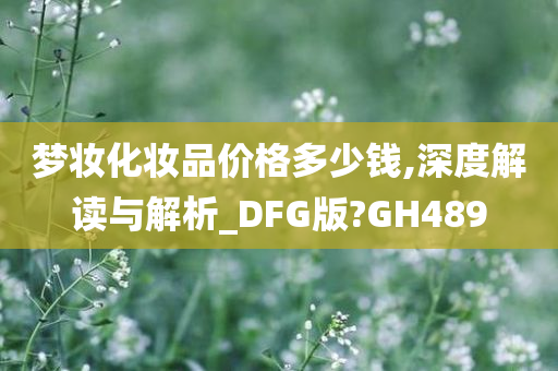 梦妆化妆品价格多少钱,深度解读与解析_DFG版?GH489