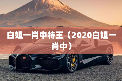 白姐一肖中特王（2020白姐一肖中）