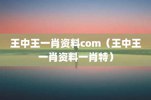 王中王一肖资料com（王中王一肖资料一肖特）