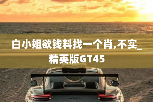 白小姐欲钱料找一个肖,不实_精英版GT45