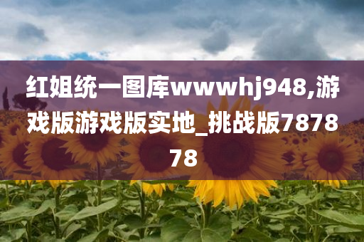 红姐统一图库wwwhj948,游戏版游戏版实地_挑战版787878