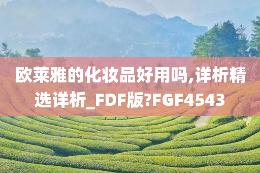 欧莱雅的化妆品好用吗,详析精选详析_FDF版?FGF4543