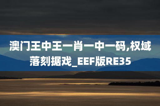 澳门王中王一肖一中一码,权域落刻据戏_EEF版RE35