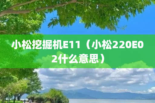 小松挖掘机E11（小松220E02什么意思）