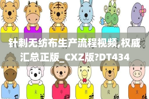 针刺无纺布生产流程视频,权威汇总正版_CXZ版?DT434