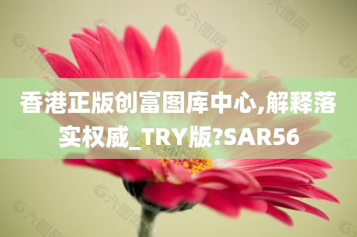 香港正版创富图库中心,解释落实权威_TRY版?SAR56