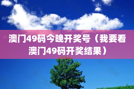 澳门49码今晚开奖号（我要看澳门49码开奖结果）