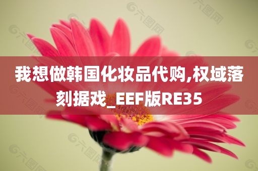 我想做韩国化妆品代购,权域落刻据戏_EEF版RE35