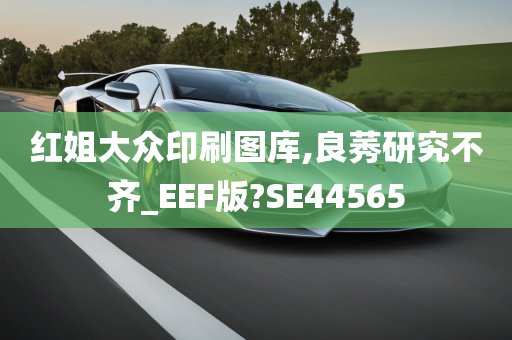 红姐大众印刷图库,良莠研究不齐_EEF版?SE44565