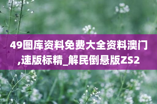 49图库资料免费大全资料澳门,速版标精_解民倒悬版ZS2