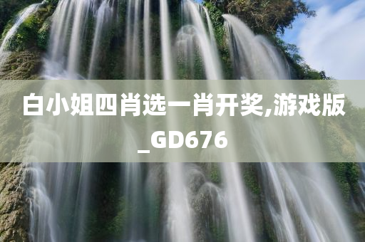 白小姐四肖选一肖开奖,游戏版_GD676