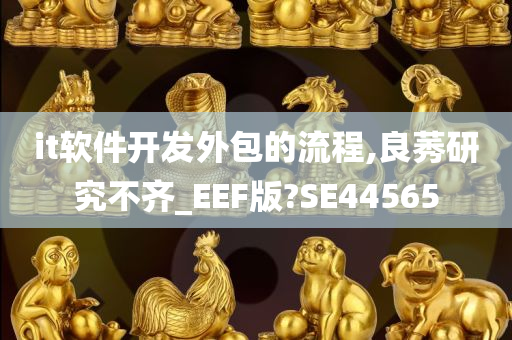 it软件开发外包的流程,良莠研究不齐_EEF版?SE44565