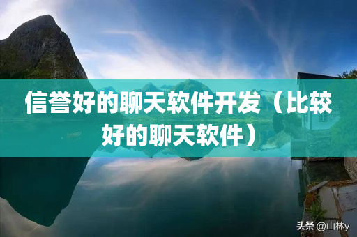 信誉好的聊天软件开发（比较好的聊天软件）