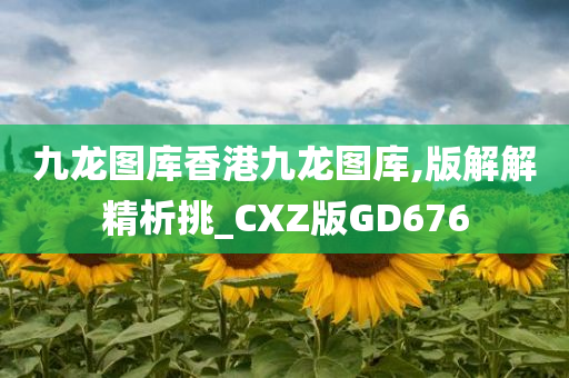 九龙图库香港九龙图库,版解解精析挑_CXZ版GD676