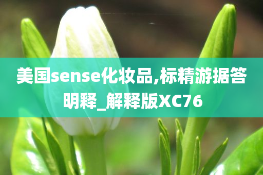 美国sense化妆品,标精游据答明释_解释版XC76