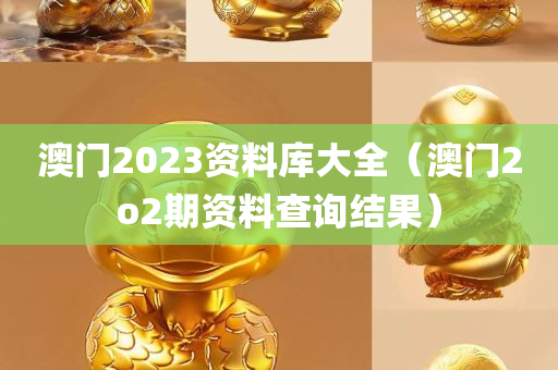 澳门2023资料库大全（澳门2o2期资料查询结果）