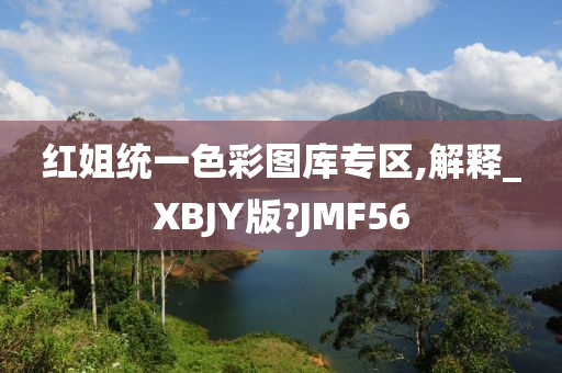 红姐统一色彩图库专区,解释_XBJY版?JMF56