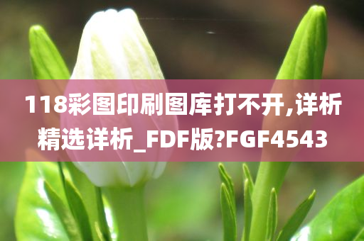 118彩图印刷图库打不开,详析精选详析_FDF版?FGF4543