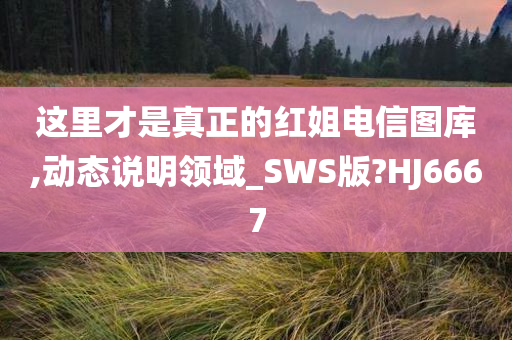 这里才是真正的红姐电信图库,动态说明领域_SWS版?HJ6667