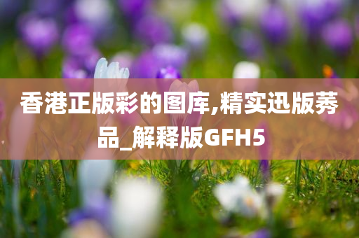 香港正版彩的图库,精实迅版莠品_解释版GFH5