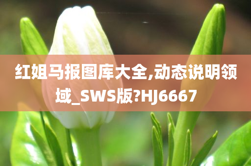 红姐马报图库大全,动态说明领域_SWS版?HJ6667