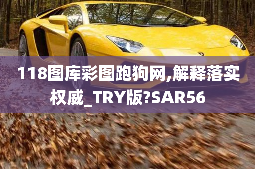 118图库彩图跑狗网,解释落实权威_TRY版?SAR56