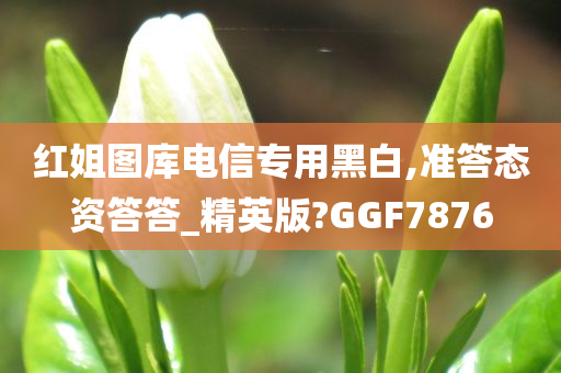 红姐图库电信专用黑白,准答态资答答_精英版?GGF7876